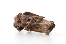 Ambergris