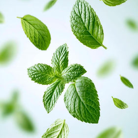 Mint
