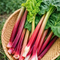 rhubarb