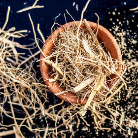 Haitian vetiver
