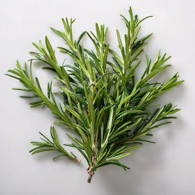 Rosemary
