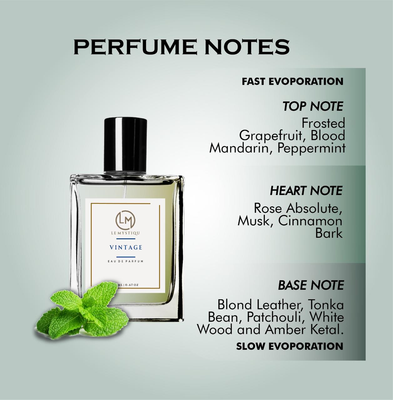 Vintage: A Timeless Fragrance Experience 50 ml