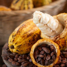 Cacao